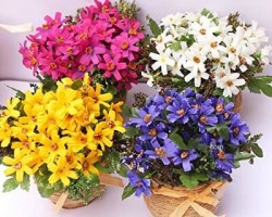 Artificial Flowers