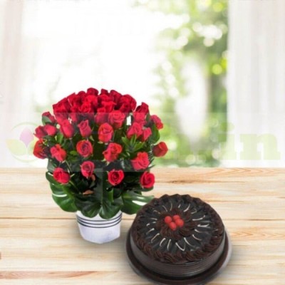 Chocolate Cake with 30 Red Roses