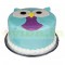 Owl Fondant Cake	