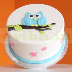 Owl Theme Designer Cake Owl Theme Designer Cake