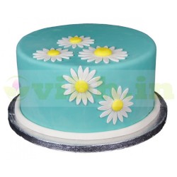 Spring Daisies Fondant Cake	