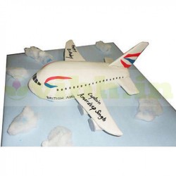 Airplane Fondant Cake	