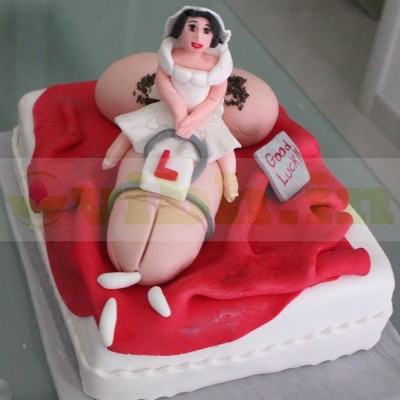 Hen Party Naughty Cake