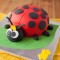 Ladybird Bug Fondant Cake	