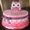 Owl Baby Shower Fondant Cake	