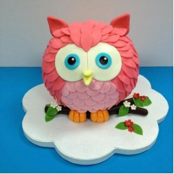Customized Pink Owl Fondant Cake	